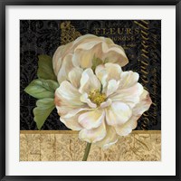 Antique Still Life Rose Fine Art Print