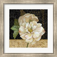 Antique Still Life Rose Fine Art Print