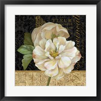 Antique Still Life Rose Fine Art Print