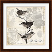 Botanical Birds Black Cream I Fine Art Print