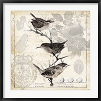 Botanical Birds Black Cream I Fine Art Print