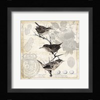 Botanical Birds Black Cream I Fine Art Print