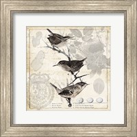 Botanical Birds Black Cream I Fine Art Print