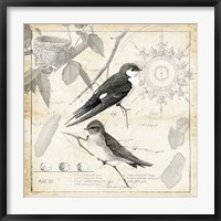 Botanical Birds Black Cream II Fine Art Print