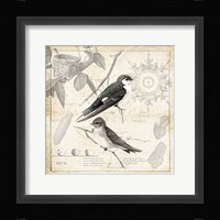 Botanical Birds Black Cream II Fine Art Print