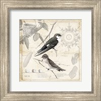 Botanical Birds Black Cream II Fine Art Print