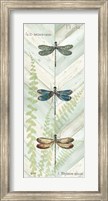 Dragonfly Botanical Panels I Fine Art Print