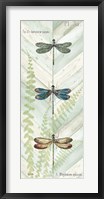 Dragonfly Botanical Panels I Fine Art Print