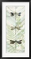 Dragonfly Botanical Panels II Fine Art Print