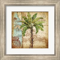 Antique Nautical Palms I Fine Art Print