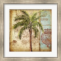 Antique Nautical Palms II Fine Art Print