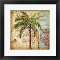 Antique Nautical Palms II Framed Print