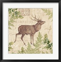 Woodland Trail I (Deer) Fine Art Print