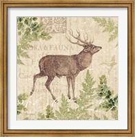 Woodland Trail I (Deer) Fine Art Print