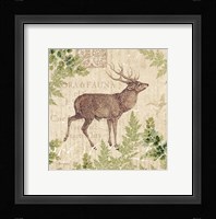 Woodland Trail I (Deer) Framed Print