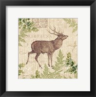 Woodland Trail I (Deer) Fine Art Print