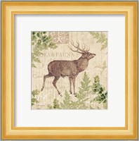 Woodland Trail I (Deer) Fine Art Print