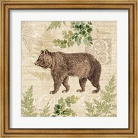 Woodland Trail II (Bear) Fine Art Print