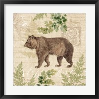Woodland Trail II (Bear) Fine Art Print