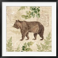 Woodland Trail II (Bear) Fine Art Print