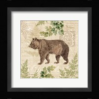Woodland Trail II (Bear) Framed Print