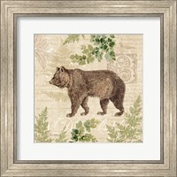 Woodland Trail II (Bear) Fine Art Print