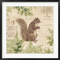 Woodland Trail III (Squirrel) Fine Art Print