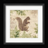 Woodland Trail III (Squirrel) Framed Print