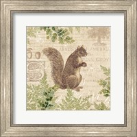 Woodland Trail III (Squirrel) Fine Art Print