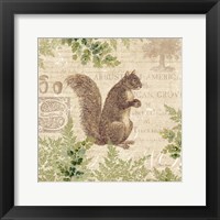 Woodland Trail III (Squirrel) Framed Print