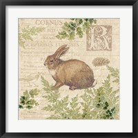 Woodland Trail IV (Rabbit) Fine Art Print