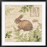 Woodland Trail IV (Rabbit) Fine Art Print