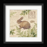 Woodland Trail IV (Rabbit) Framed Print
