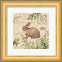 Woodland Trail IV (Rabbit) Fine Art Print