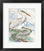 Shore Birds I Framed Print
