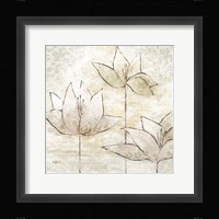 Floral Sketch II Framed Print