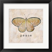Butterfly Expressions IV Framed Print