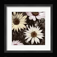 Hint of Spring I Framed Print
