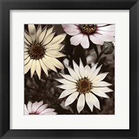 Hint of Spring I Fine Art Print