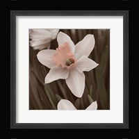 Hint of Spring II Framed Print