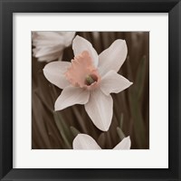 Hint of Spring II Fine Art Print