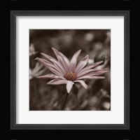 Hint of Spring IV Fine Art Print