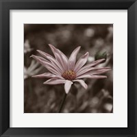 Hint of Spring IV Fine Art Print