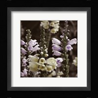 Hint of Spring V Fine Art Print