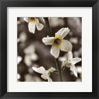 Hint of Spring VI Fine Art Print