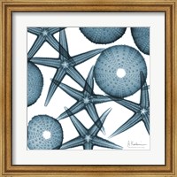 Starfish 2 Fine Art Print