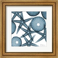 Starfish 2 Fine Art Print