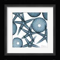 Starfish 2 Fine Art Print