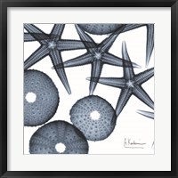 Starfish Trip 3 Fine Art Print