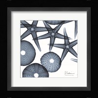 Starfish Trip 3 Fine Art Print